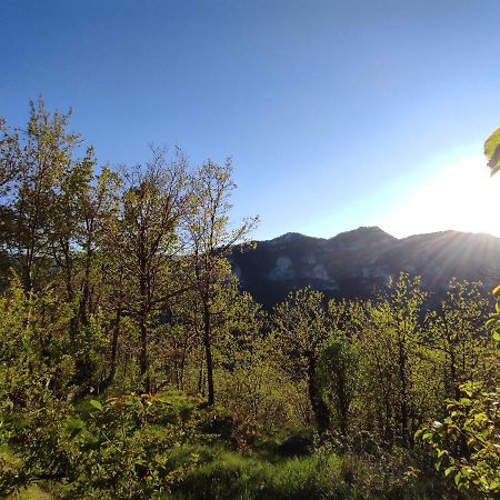 Bed and Breakfast Le Cloterriou Braux  Екстер'єр фото